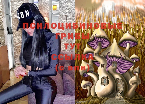 прущий лед Чердынь