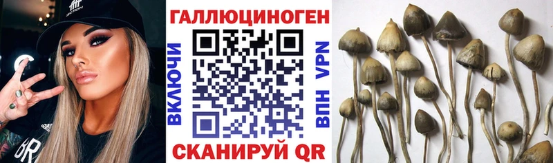 Купить закладки  Приморско-Ахтарск  Галлюциногенные грибы Magic Shrooms 